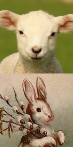 Passover Lamb or Easter Bunny? Mr. Mike DeSimone has something worthwhile to say about that. (So does the Bible...)